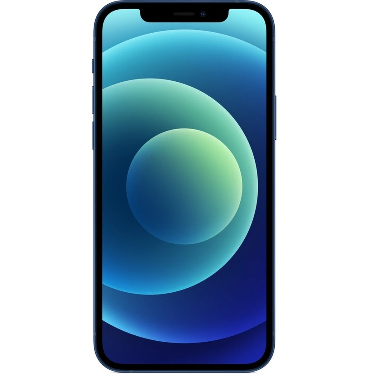APPLE-12-BLU-1.jpg