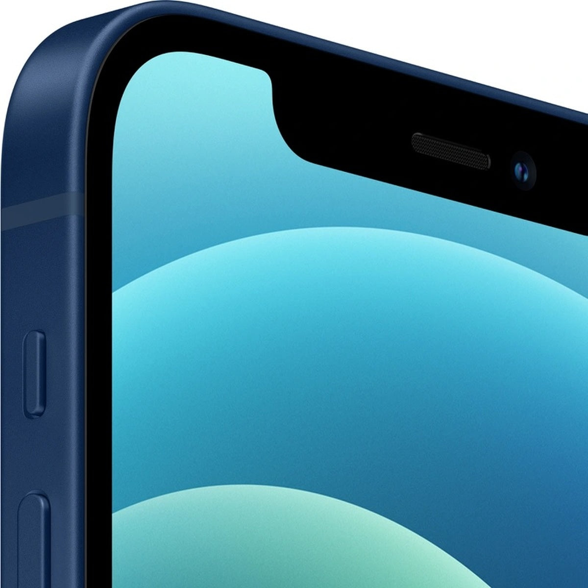 APPLE-12-BLU-3.jpg