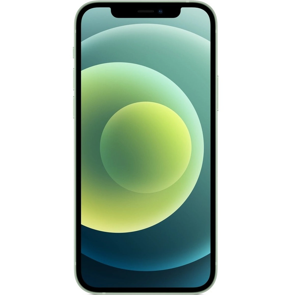 APPLE-12-GRN-1.jpg