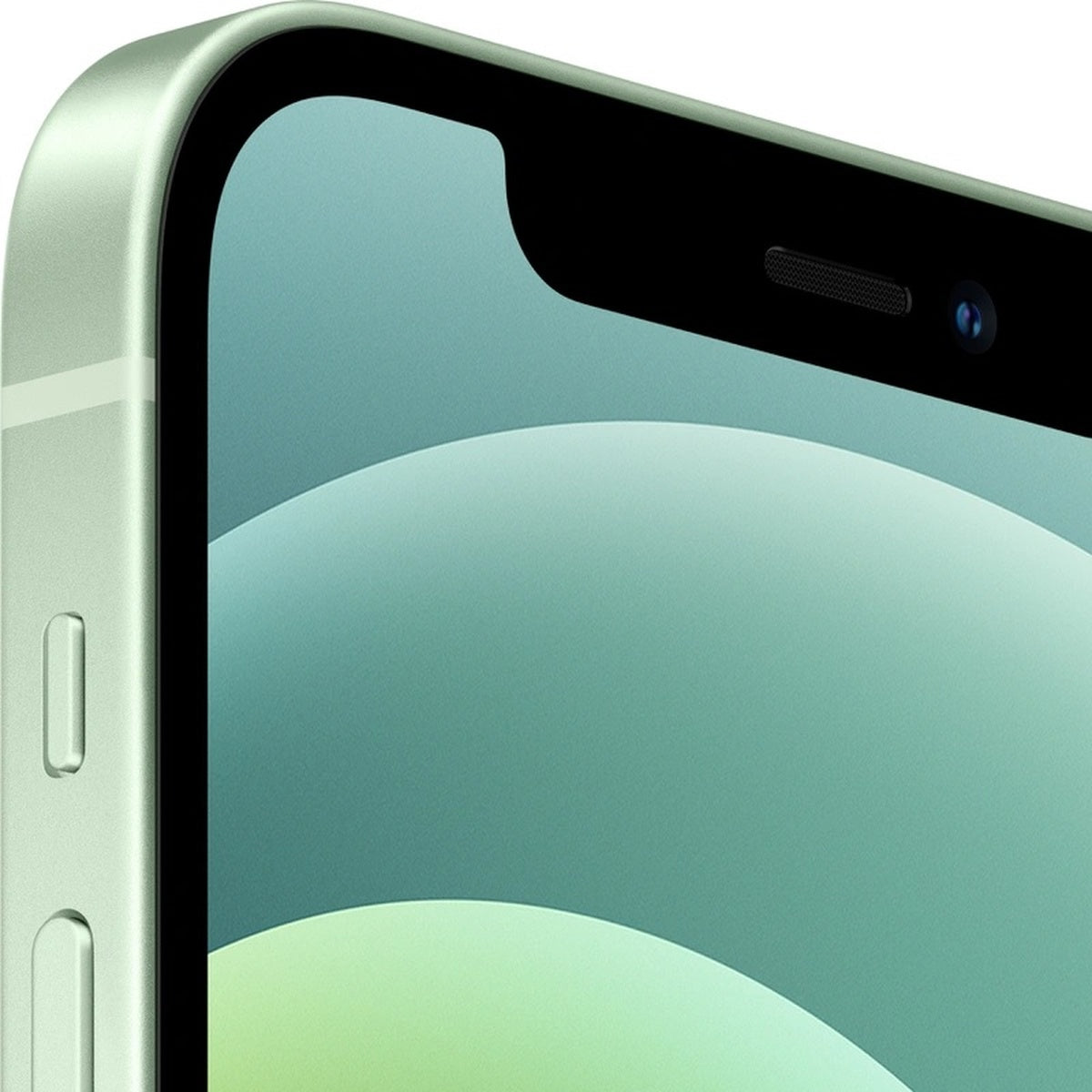 APPLE-12-GRN-3.jpg
