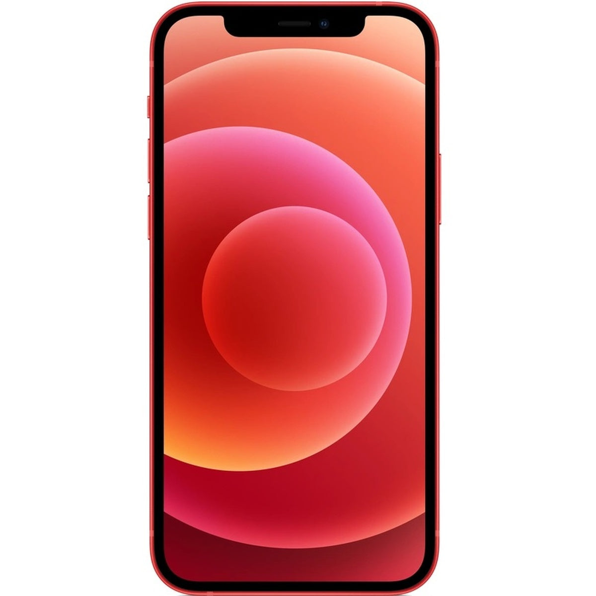 APPLE-12-RED-1.jpg