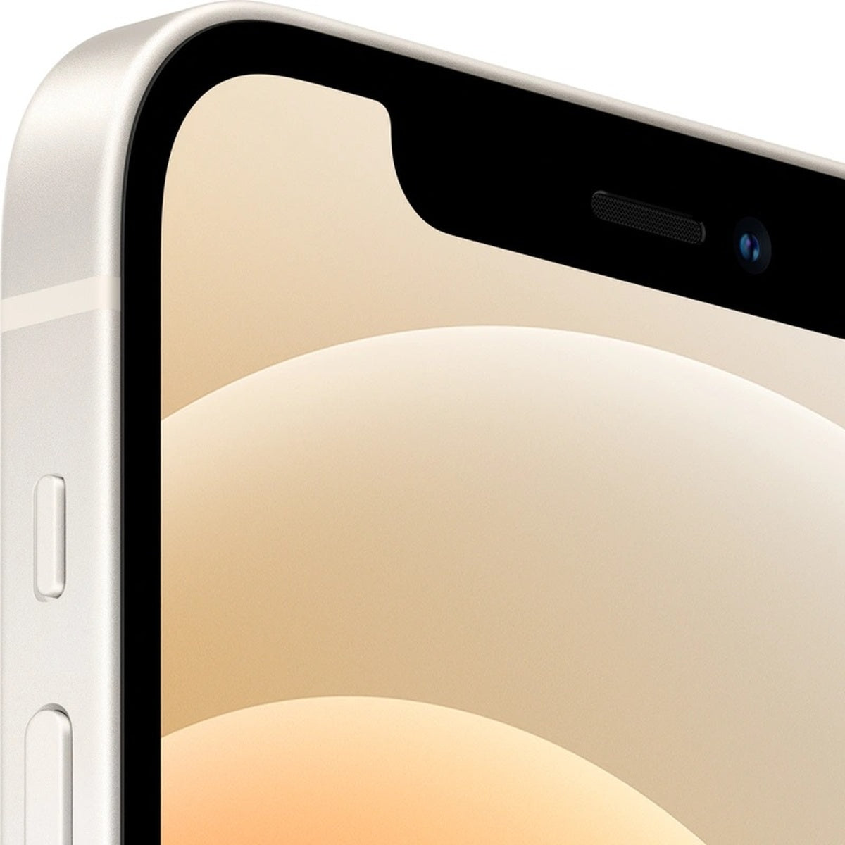 APPLE-12-WHI-3.jpg