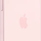 APPLE-15-PIN-2.jpg