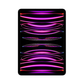 Apple iPad Pro (2022) 12.9 Inch 6th Generation